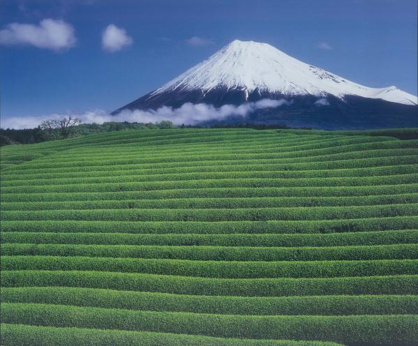 fuji